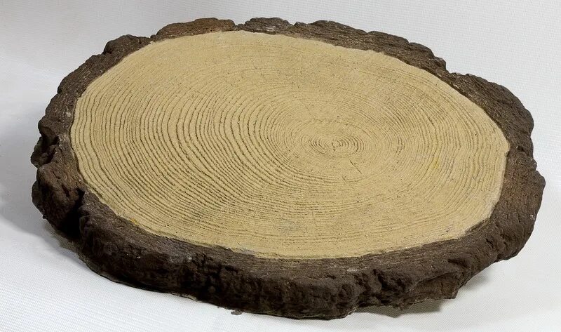 плитка срез. тротуарная плитка "пенек (d300)". полимерная плитка. плитка срез. тротуарная плитка срез дерева.