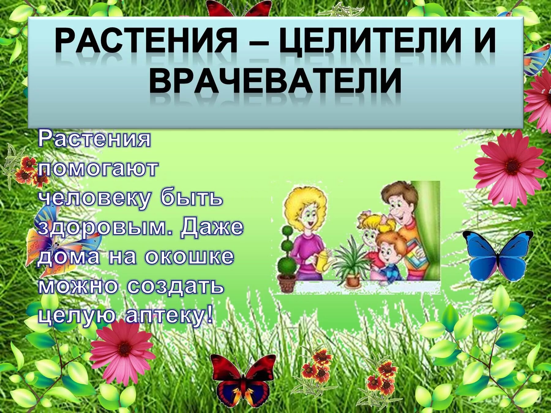 Комнатные растения для дошкольников. Спасибо за внимание растения. Растения башкортостана список. Комнатные цветы для детей средней группы. Комнатные растения для детей дошкольного возраста.