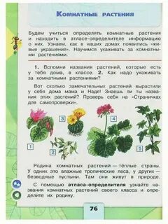 Сообщение по окружающему миру 2 класс