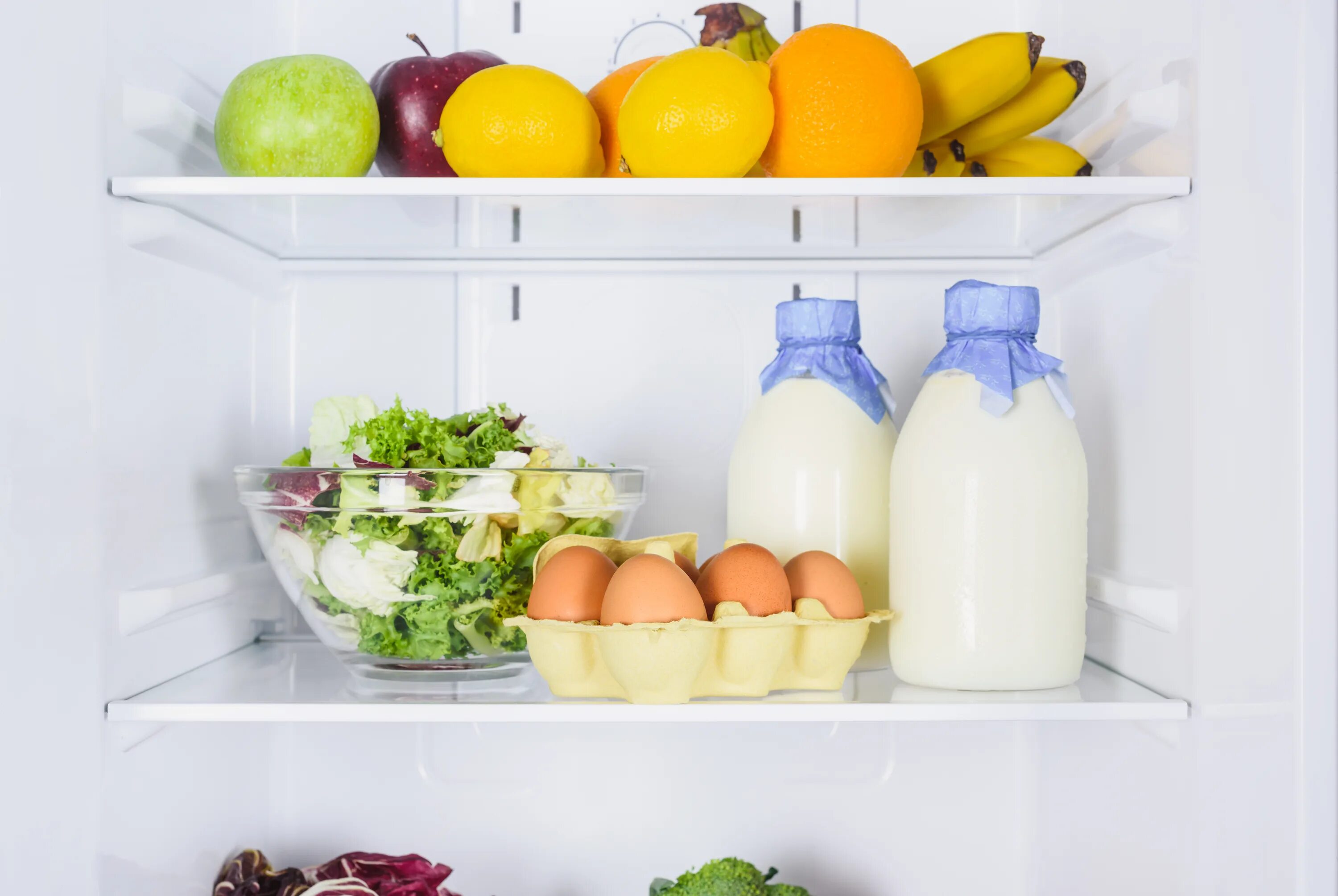 There are many eggs in the fridge. Молоко в холодильнике. молоко яйца апельсин. food in the fridge. апельсины и яблоки в холодильнике фото.