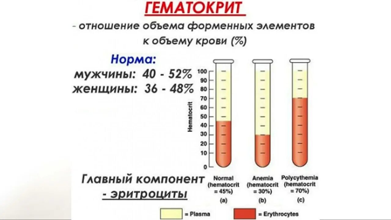 Снижение форменных элементов. Гематокрит 43.6. Гематокрит понижен. Что понижает гематокрит. Гематокрит и эритроциты ниже нормы у женщины.