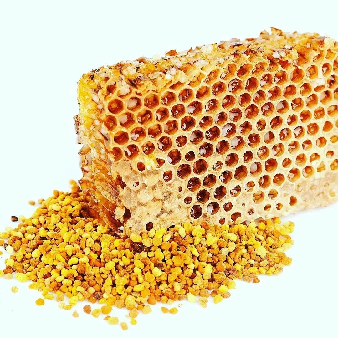 Пчелиная перга Wild forage Bee pollen. Пыльца перга прополис. Пыльца и перга. Перга прополис маточное молочко.