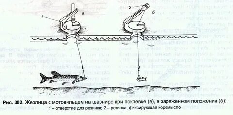 Как ставить на щуку