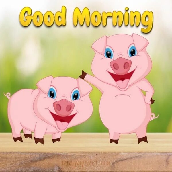 Свинья утро. Доброе утро свинья. С добрым утром с поросенком. Доброе утро хрюшка. Доброе утро поросенок.