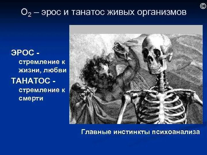 Eros thanatos. Танатос психоанализ. Танатос влечение к смерти. Либидо и Танатос.