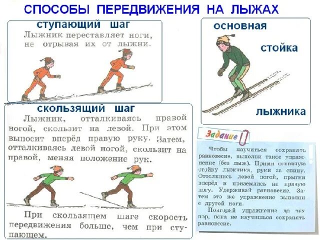Доклад по лыжной подготовке 3 класс по физкультуре. Способы передвижения на лыжах. Способы передвижения на лыжах скользящий шаг. Упражнения для скользящего шага.