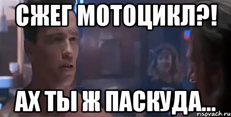 Паскуда это