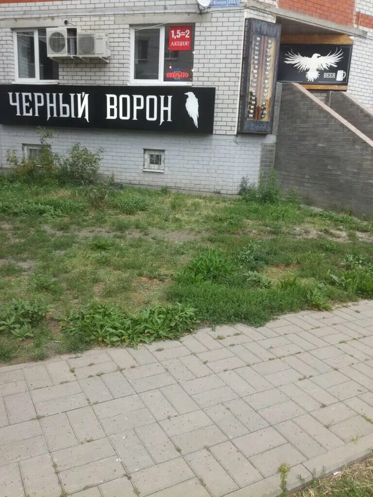Voron воронеж. Voron воронеж. ворона в воронеже. воронеж просп. ул 9 января 262/6.