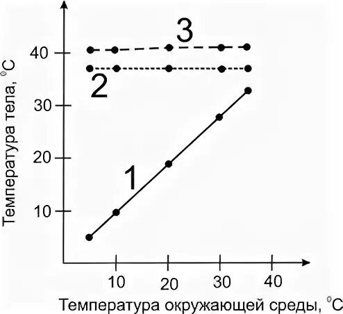 График температуры окружающей среды