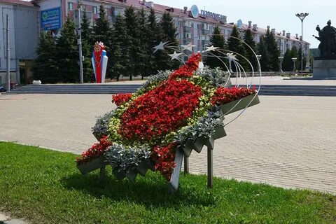 Город цветов брянск