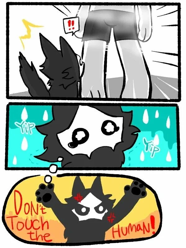 Changed cat. Changed комиксы. changed мемы. changed комиксы на русском. puro the wolf мемы.