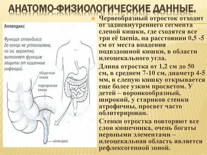 Слепая кишка симптомы