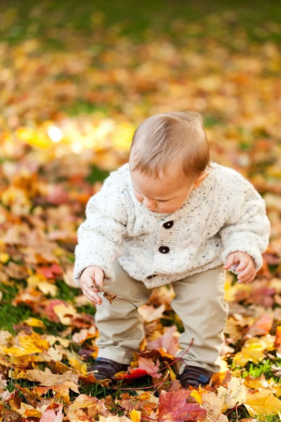 Pick up leaves. Осень для детей. Дети в осенней листве. Осенние фотографии детей. Осень картинки для детей.