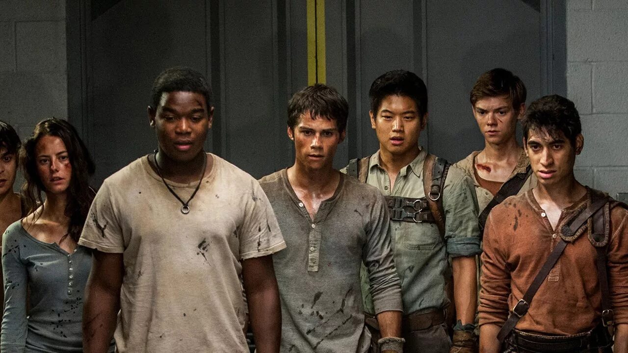 Бегущий в лабиринте андроид. The Maze Runner. Maze Runner the Scorch Trials. Maze Runner 1. Бегущий в лабиринте 2.