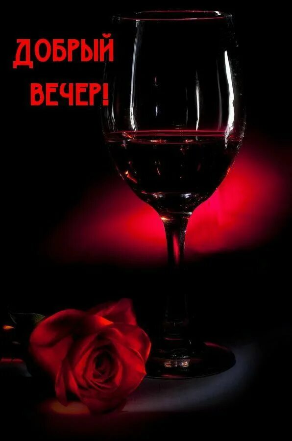 Вино и цветы. Красные розы и вино. Это моя вина розы. Это моя вина розы. Вечер вино цветы.