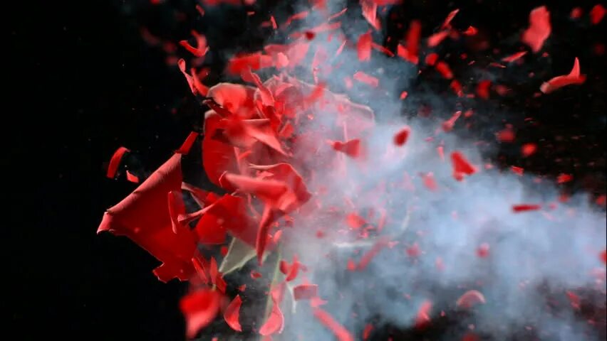 Разбитая ваза с цветами. Разбитая ваза с цветами. Азот цветок. Взрывающийся цветок. Разбитое стекло текстура.