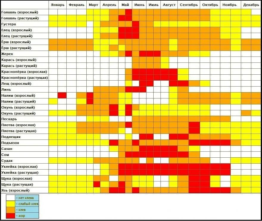 Клев 2020. График ловли щуки по месяцам. Рыбный календарь. Календарь рыболова. Таблица жор у рыбы.