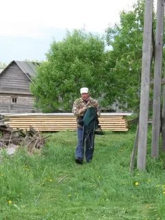 Погода в алеховщине