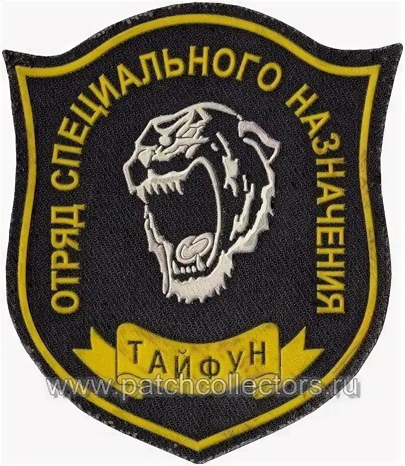 Спецназ вв мвд рф тайфун. 21 оспн. 21 оспн тайфун. 21 оспн тайфун хабаровск. Группа тайфун спецназ.
