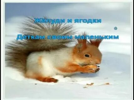 Детские песни про белочку