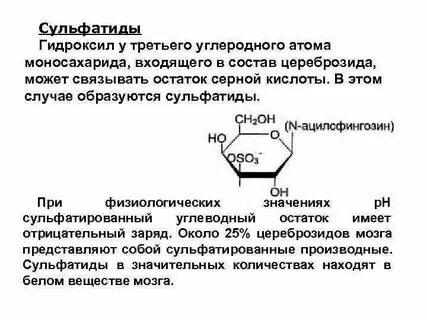 Цереброзид