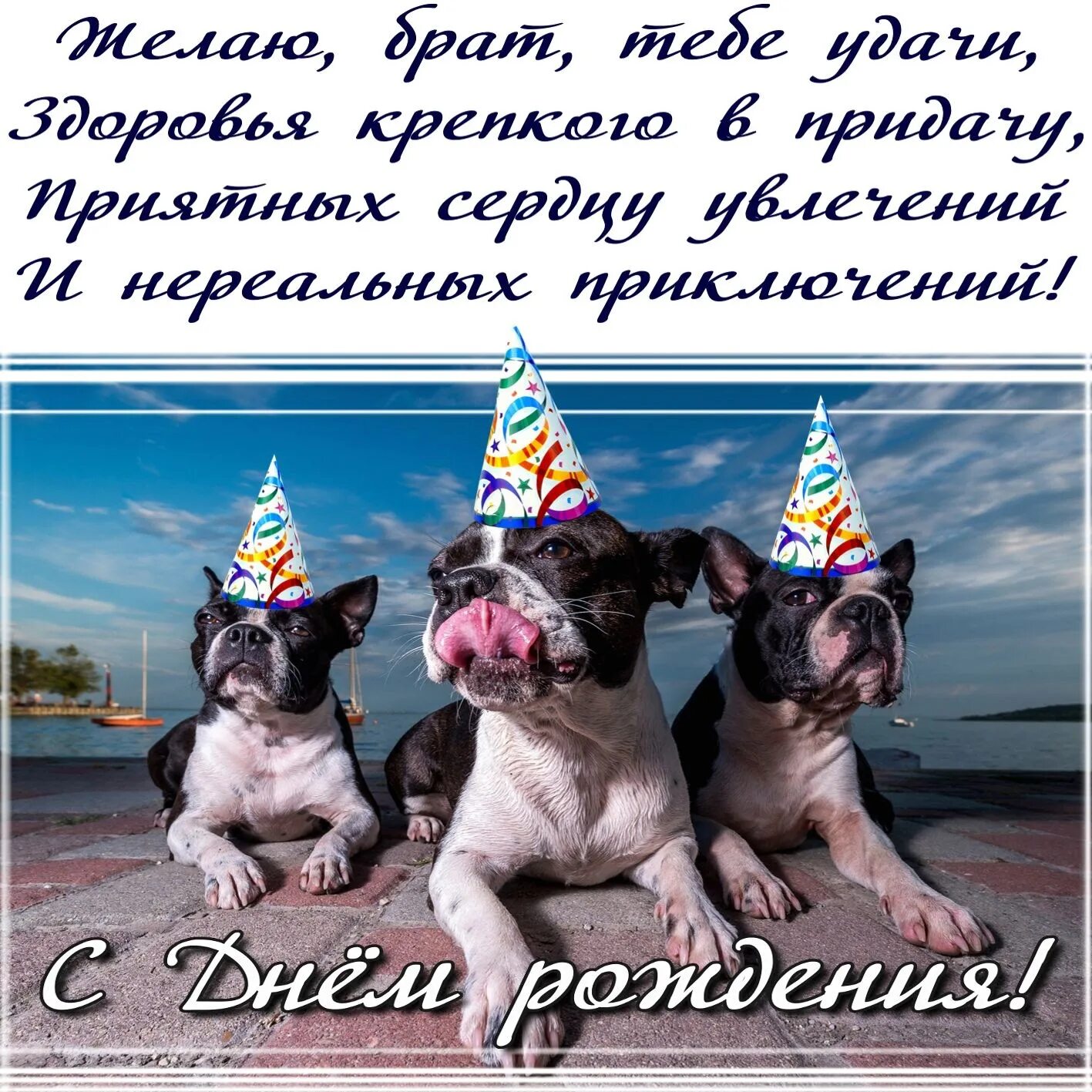 поздравление брату. поздравления с днём рождения б. поздравления с днём рождения братц прикольные. поздравлениесднёмрождениябрату. с днём рождения братишка.