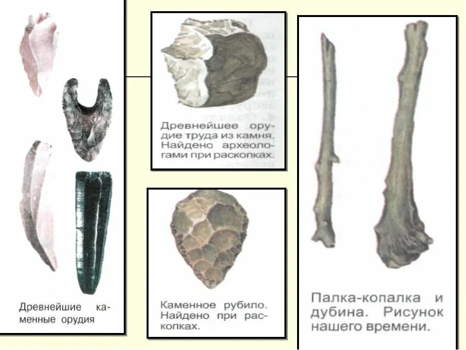 Укажите древнейшее орудие труда. Палка копалка орудие труда древнейших людей. Орудия труда древнего человека палка копалка. Орудия труда древнего человека 5 класс палка копалка.