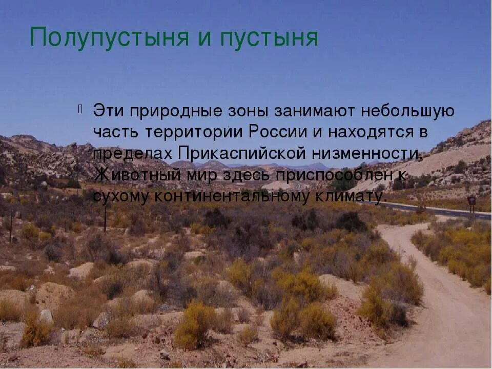 В зоне пустынь большие пространства занимают