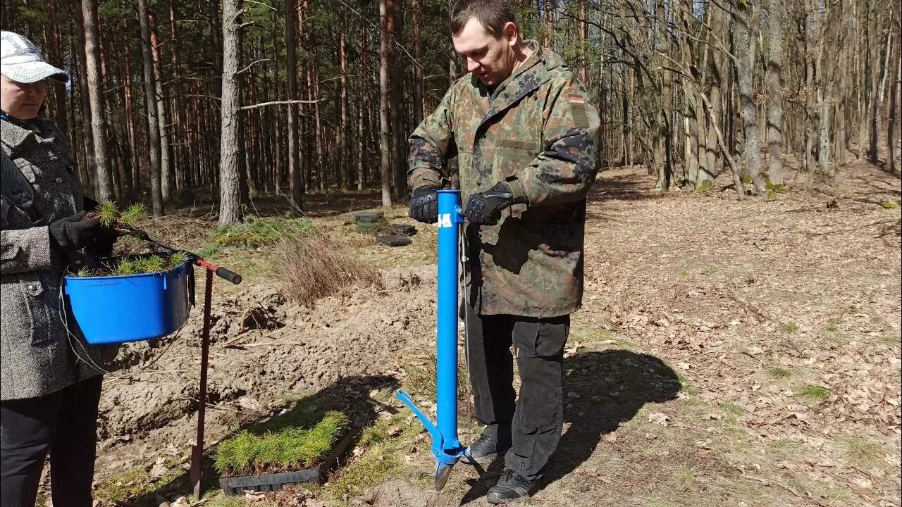 Меч для посадки деревьев