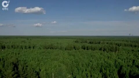 Шипуново сузунского новосибирской