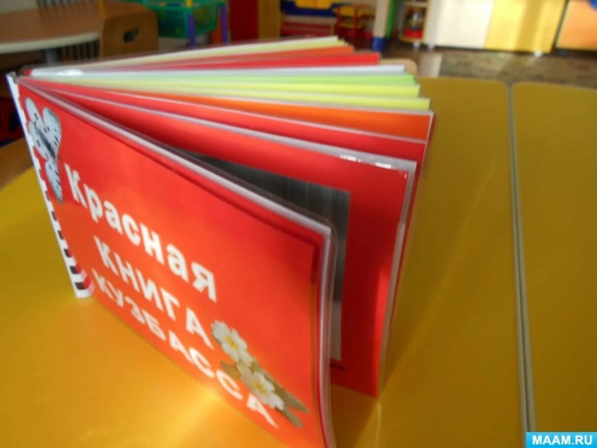 Как оформить красную книгу своими руками. Красная книга своими руками. красная кнгасвоими руками. красная книга свими руками. оформление красной книги своими руками.
