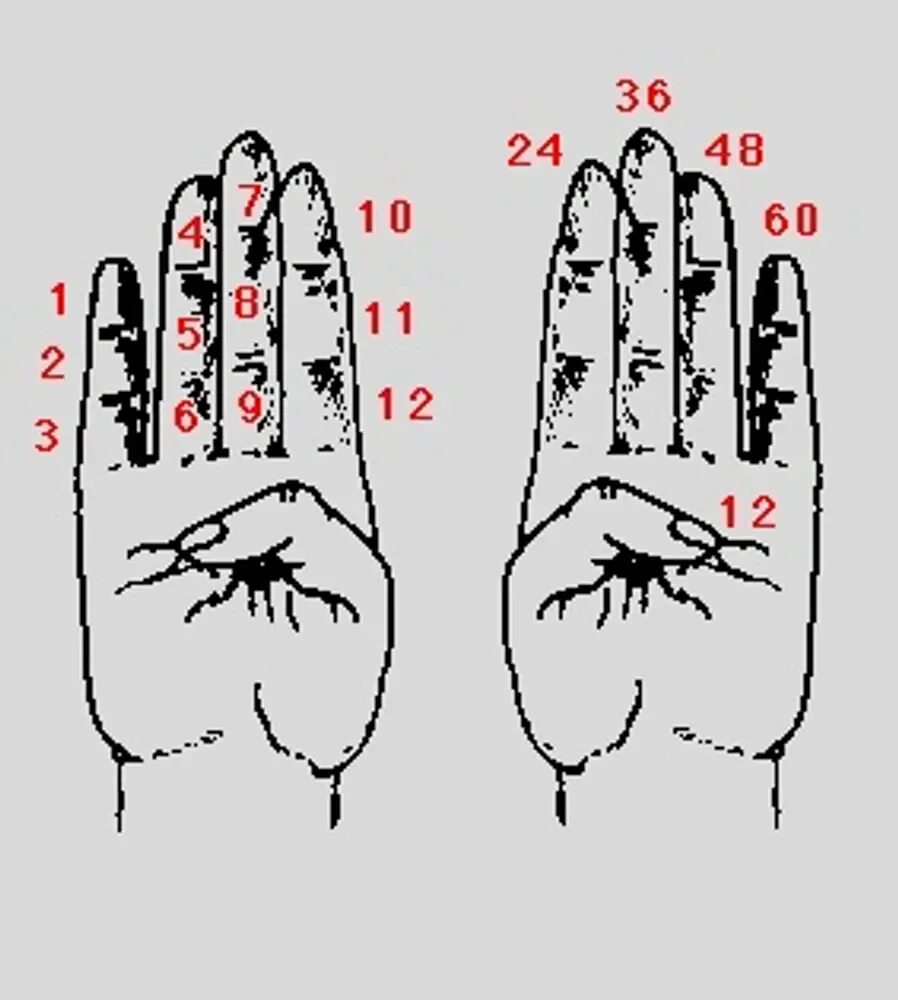 Пальцевой счет в древности. Счет на пальцах. Счет на пальцах в древности. Система счисления на пальцах. Можно считать на пальцах