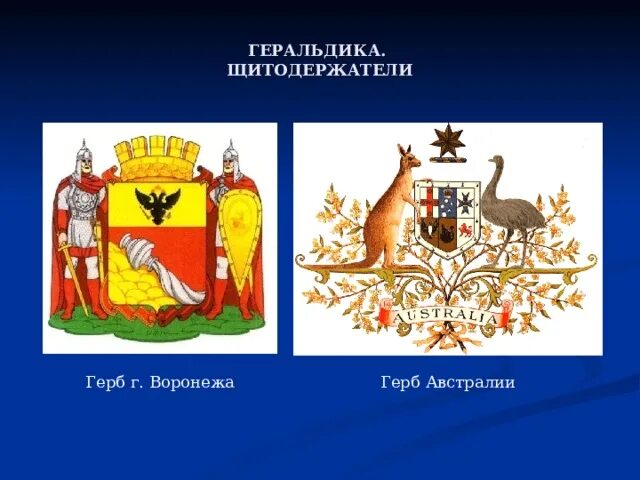 Щитодержатели. Геральдика бык щитодержатель. щитодержатели в геральдике. виды щитодержателей в геральдике. придумать герб австралии.