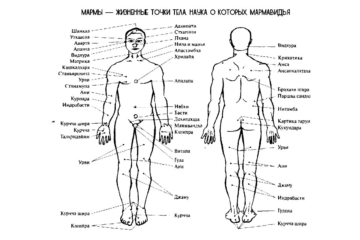 Болевые точки человека схема. Болевые точки у человека на теле схема. Болевые точки на теле человека у мужчин. Болевые точки на теле человека для нажатия.