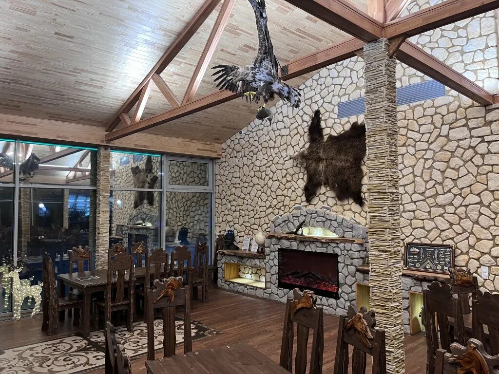 Полярное сияние в тайге. Сияние севера вельск. Школа сияние севера сыктывкар. Териберка северное сияние. Чай сияние.