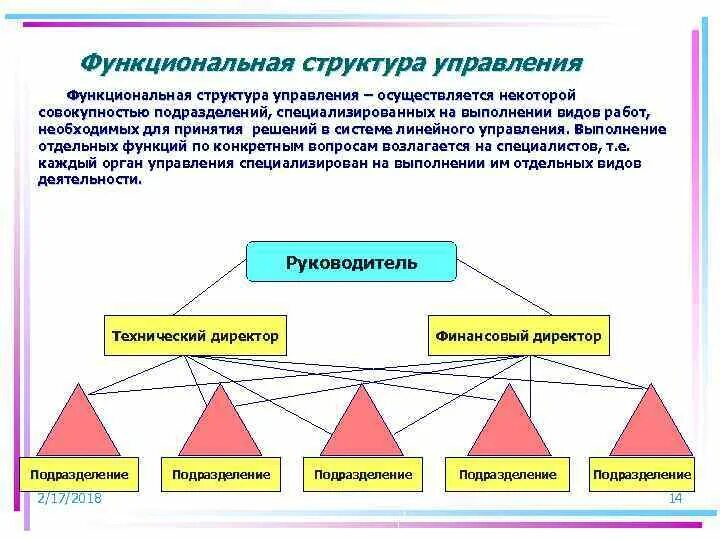 Совокупность специализированных функциональных подразделений. Специализированный и функциональный отдел. Топы функциональных подразделений. Функциональные виды деятельности. Организация выполняющая специализированные работы