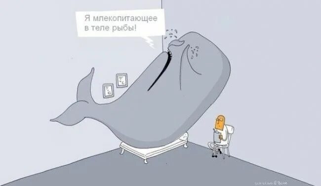 О чем шутят ученые. Часть 1. - DRIVE2