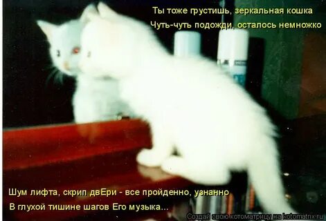 Подожди немножко песни