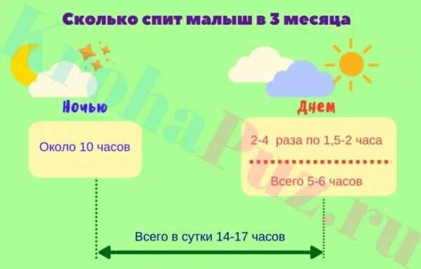 Сколько должен спать ребёнок в 3 месяца. Сколько должен спать ребёнок в 3.