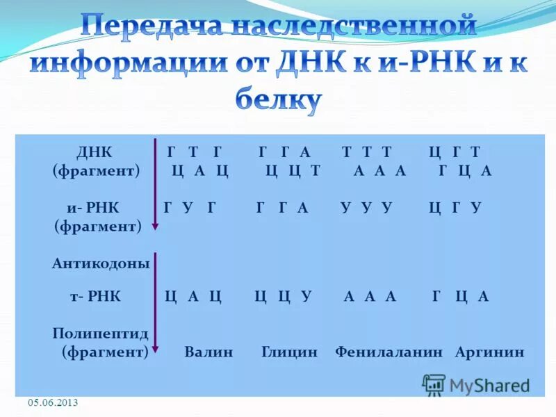 Г ц ю н. Г ц ю н