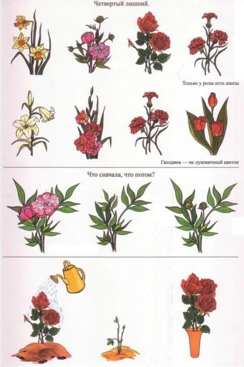 Название растений из двух слов. Названия цветов для дошкольников. Садовые цветы картинки с названиями. Названия растений для детей. Цветы с названиями для детей.