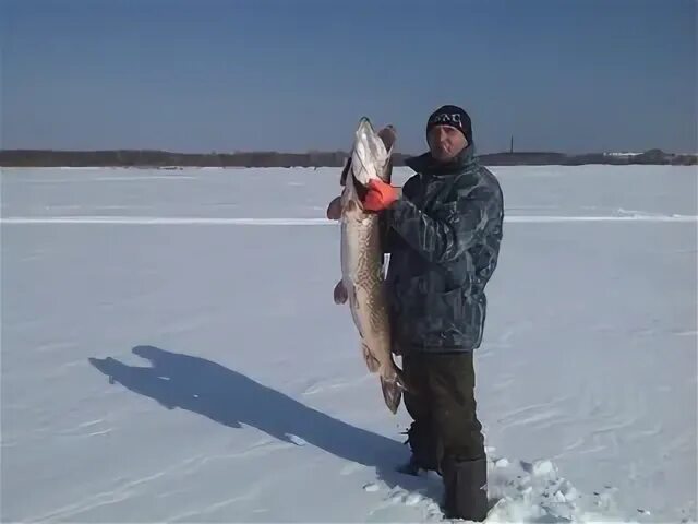 Рыбак 50. Рыбак 50