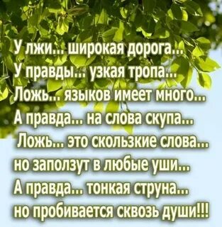 Дорогой широкой текст