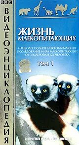 Жизнь млекопитающих 1
