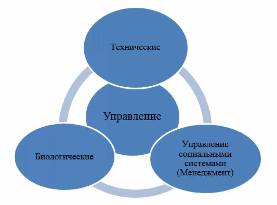 Социальное и техническое управление. Биологические управляющие системы в менеджменте. Рисунок 1- аспекты и функции управления качеством.