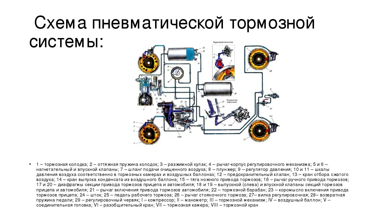 Действие тормоза. Устройство и принцип работы пневматической тормозной. Устройство пневматической тормозной системы грузового автомобиля. Принцип работы тормозной системы схема. Общее устройство пневматической тормозной системы.