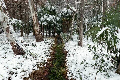 Абхазия в декабре