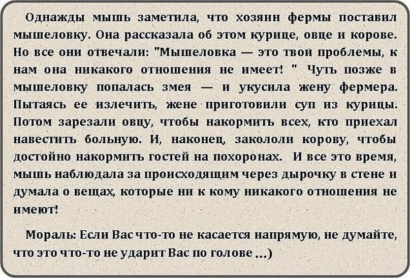 Я заметил что от станции. Притча про мышь и мышеловку. Однажды мышь заметила что хозяин фермы поставил мышеловку. Притча о мыши. Притча про мышку.