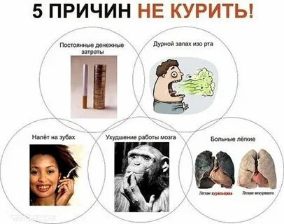 Тест почему курят