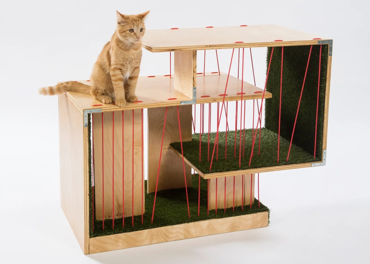 Производство для кошек. Стеклянный домик для кошки. Дизайнерские дома для кошек. Необычный дом для кошки. Дом для кошки Архитектор.
